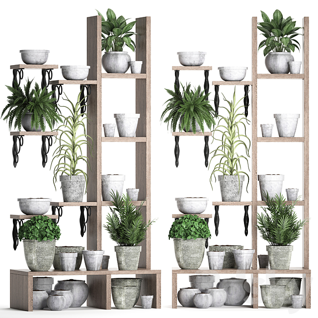 Plant Collection 365. Shelf with plants aloe flowerpot greenery vertical garden concrete eco design 3ds Max - thumbnail 1