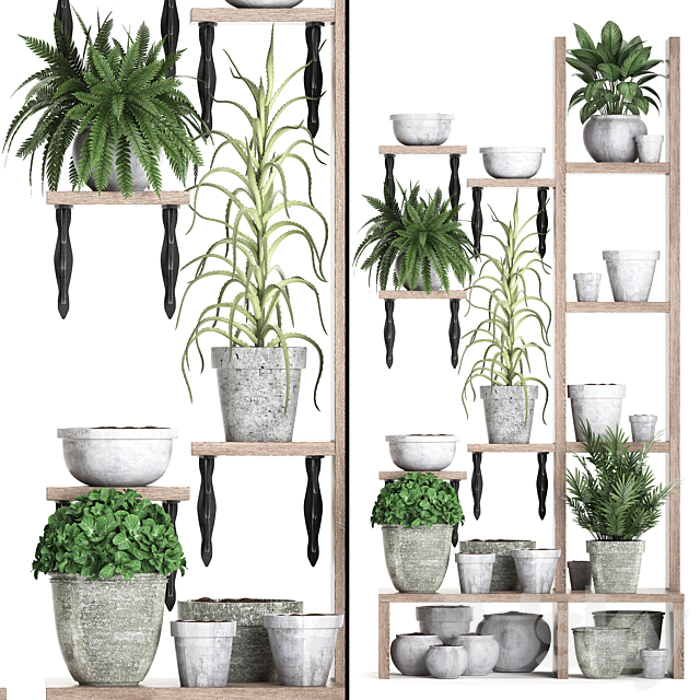 Plant Collection 365. Shelf with plants aloe flowerpot greenery vertical garden concrete eco design 3ds Max - thumbnail 2