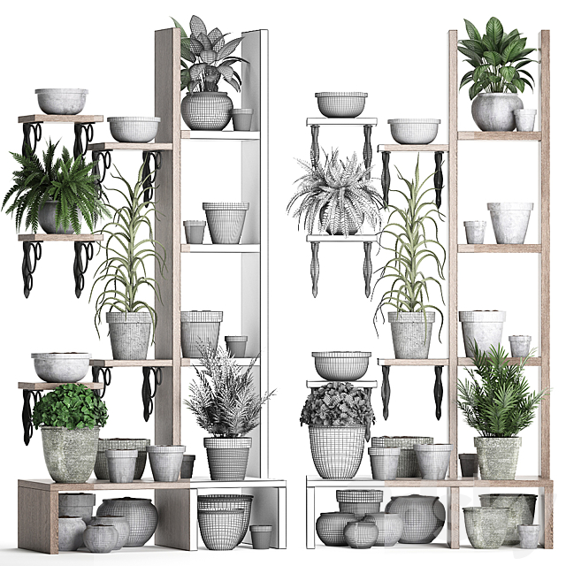 Plant Collection 365. Shelf with plants aloe flowerpot greenery vertical garden concrete eco design 3ds Max - thumbnail 3