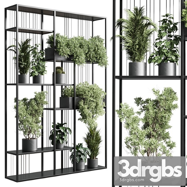 Standing Metal Shelf With A Set Of Plants In Concrete And Metal Boxes 325 3dsmax Download - thumbnail 1