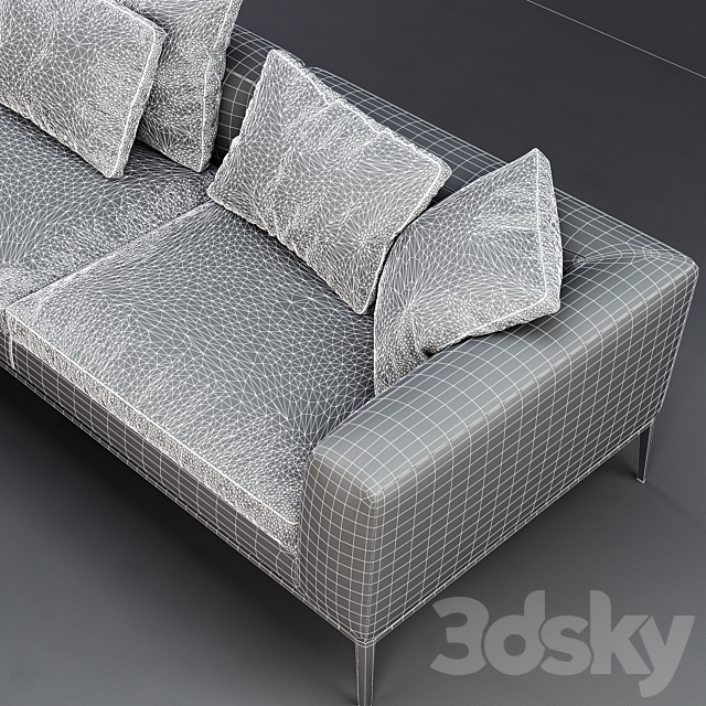 B &B Italia MICHEL Leather Sofa 3DSMax File - thumbnail 3