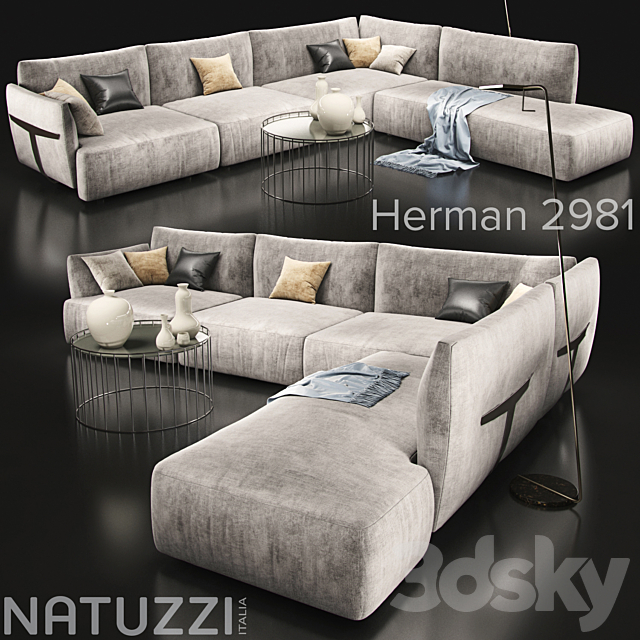 Sofa_natuzzi_herman 2981 3DSMax File - thumbnail 1