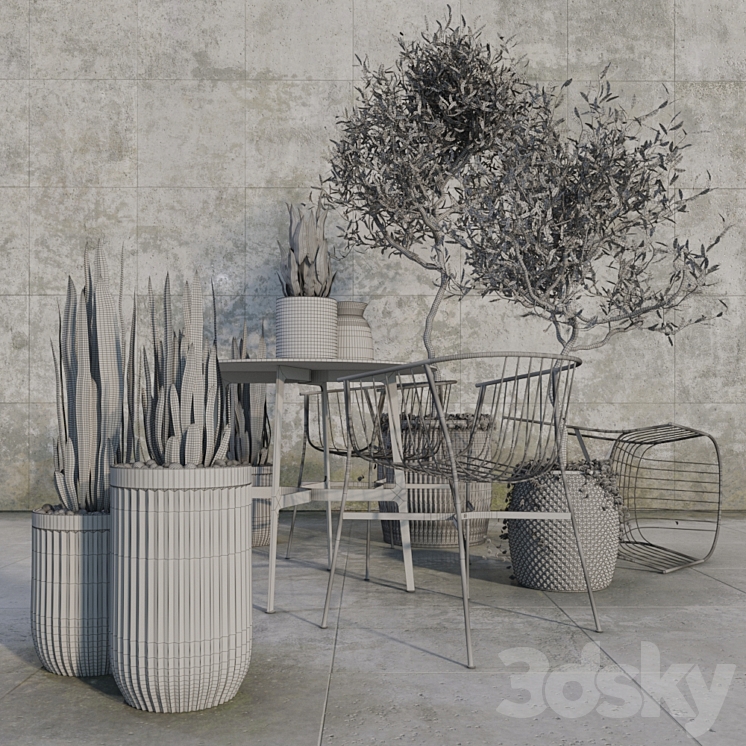 Outdoor_plant_set 3DS Max - thumbnail 2