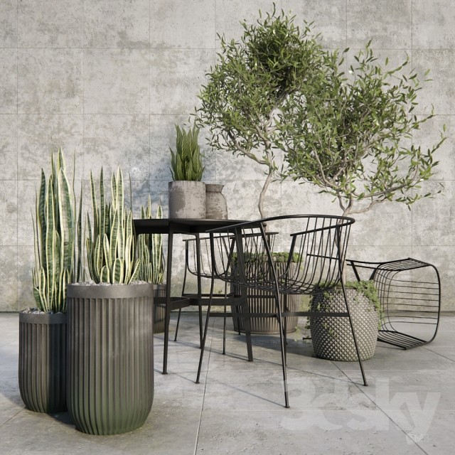 Outdoor_plant_set 3DS Max - thumbnail 3