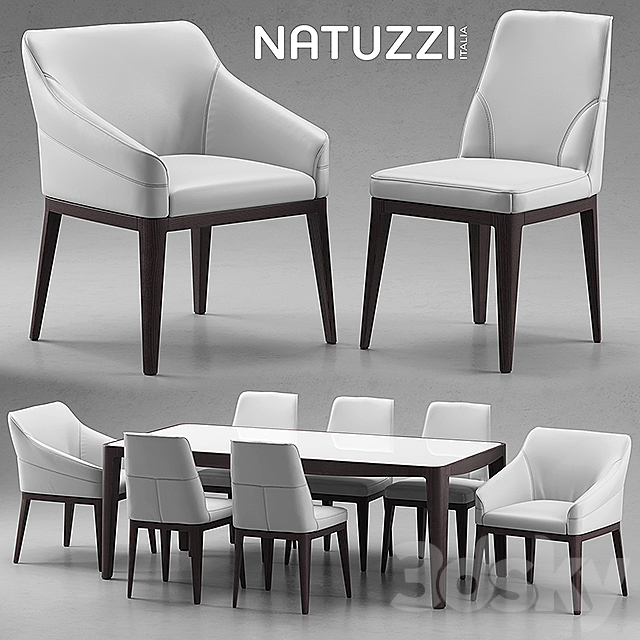 Table and chairs Natuzzi minerva. Saturno. Vesta 3DSMax File - thumbnail 1