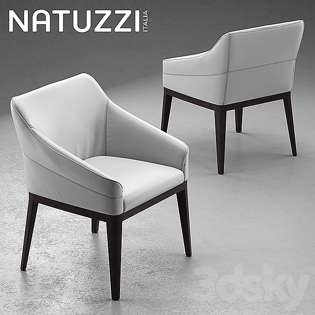 Table and chairs Natuzzi minerva. Saturno. Vesta 3DSMax File - thumbnail 2