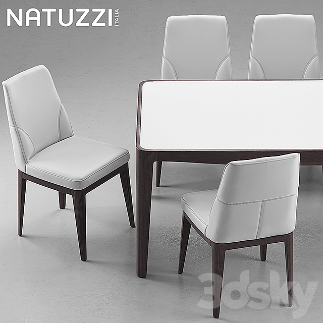 Table and chairs Natuzzi minerva. Saturno. Vesta 3DSMax File - thumbnail 3