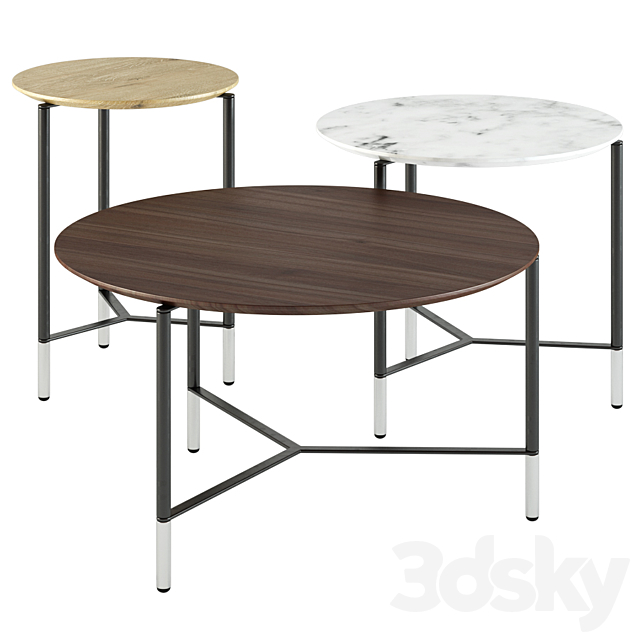 B&T design _ Modest Round Coffee tables 3DSMax File - thumbnail 1