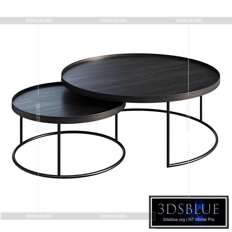 Coffee table ETHNICRAFT ROUND TRAY TABLE SET VAN 2 coffee table 3DS Max - thumbnail 3