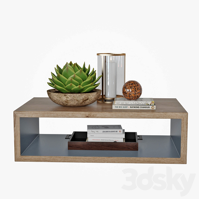 Coffee table with decor 3DSMax File - thumbnail 1