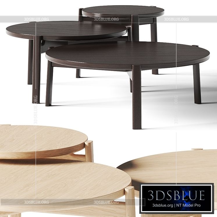 Menu Passage Lounge Coffee Tables 3DS Max - thumbnail 3