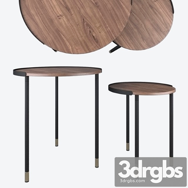 Set of 2 tables aliner cc0756m46 la forma 2 3dsmax Download - thumbnail 1