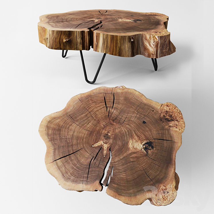 table of elm 3DS Max - thumbnail 1