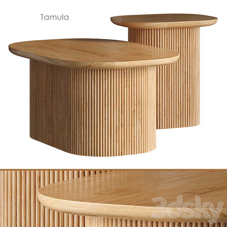 Tamula Coffee table 3DS Max Model - thumbnail 1