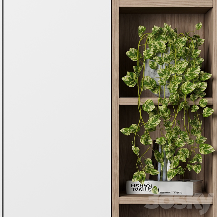 Cabinet with shelves 48 3DS Max - thumbnail 2