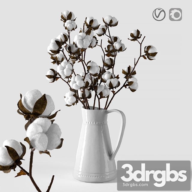 Cotton In A Jug 3dsmax Download - thumbnail 1