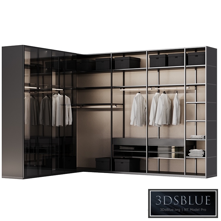 dressing room Poliform SENZAFINE 3DS Max - thumbnail 3