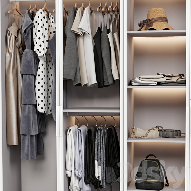 Wardrobe wall 3DSMax File - thumbnail 4