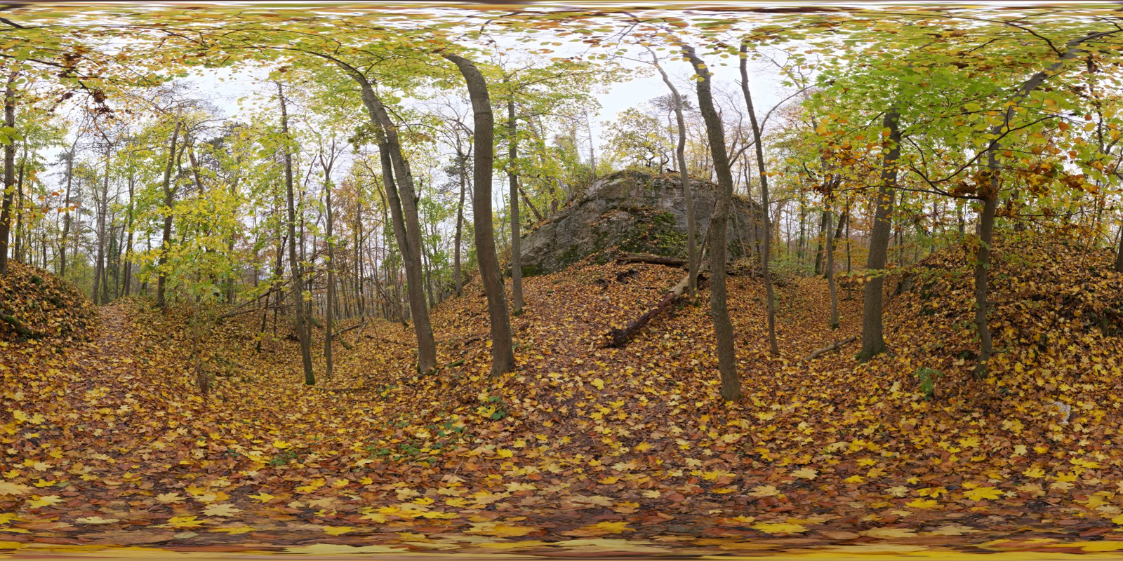 HDRI – Autumn Forest 01 – nature - thumbnail 1