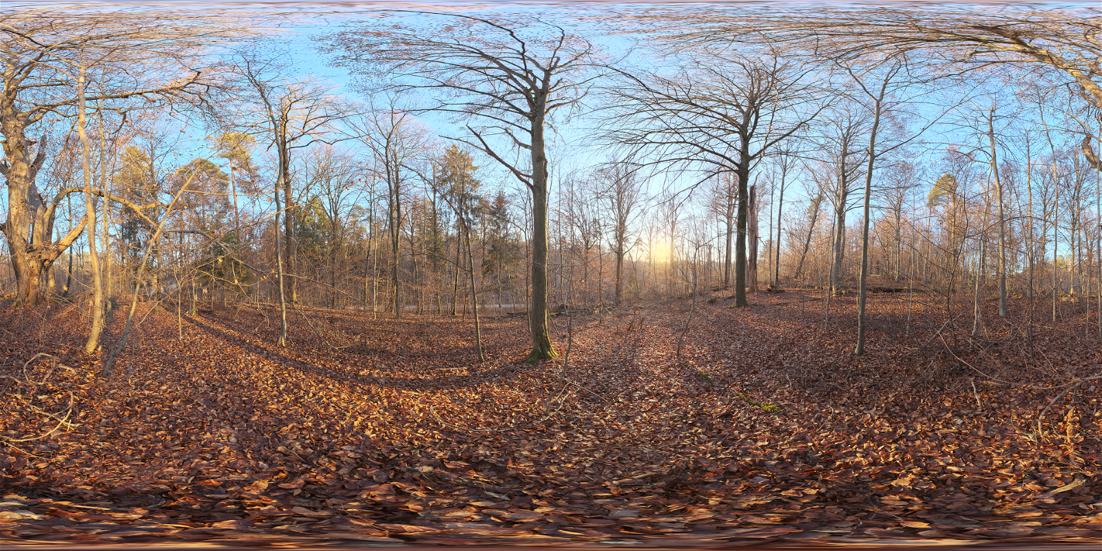 HDRI – Autumn Forest 04 – outdoor - thumbnail 1