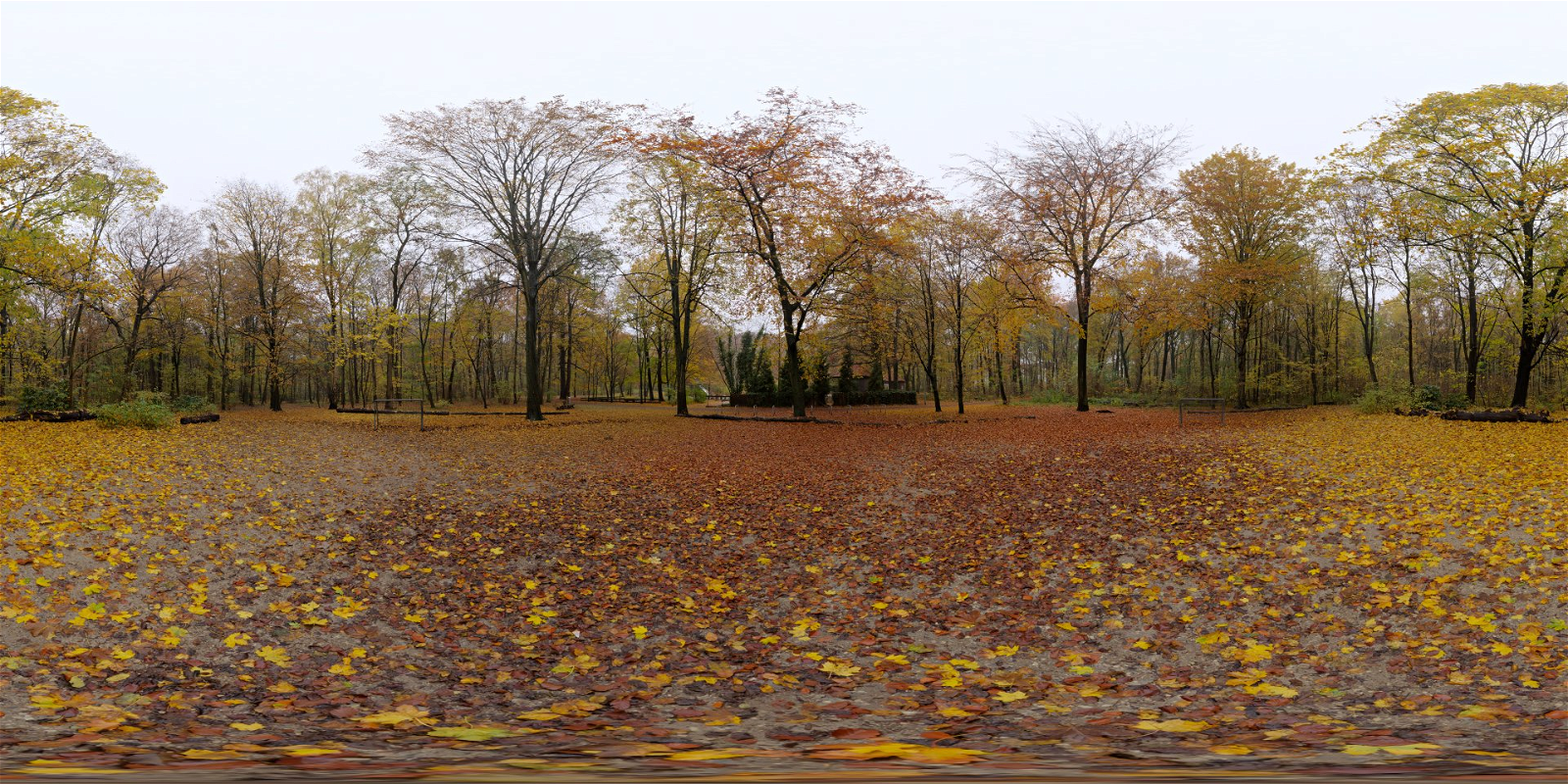 HDRI – Autumn Hockey – nature - thumbnail 1