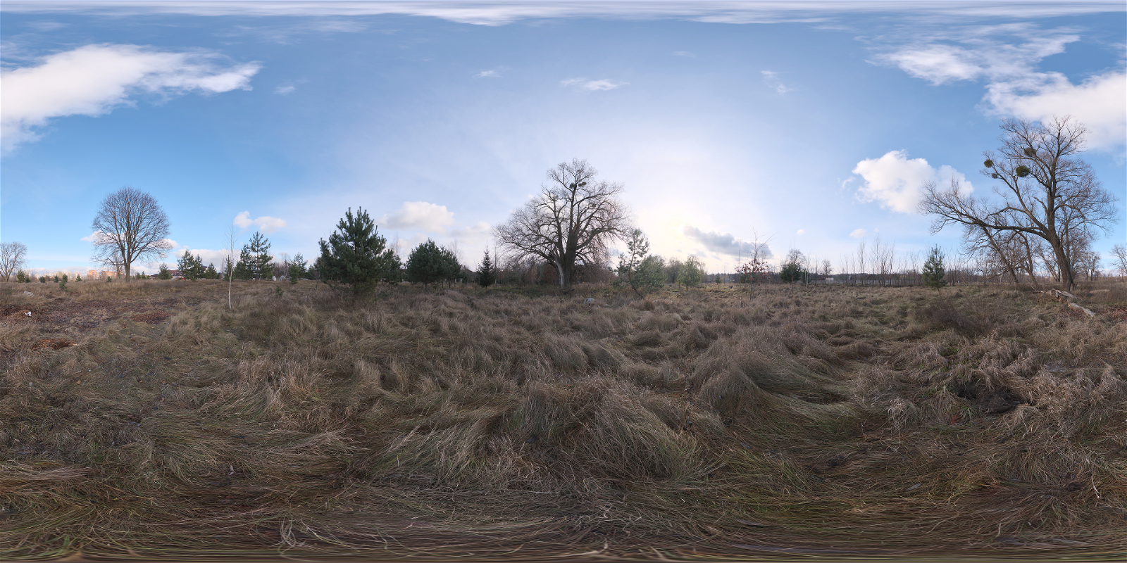 HDRI – Dry Meadow – outdoor - thumbnail 1