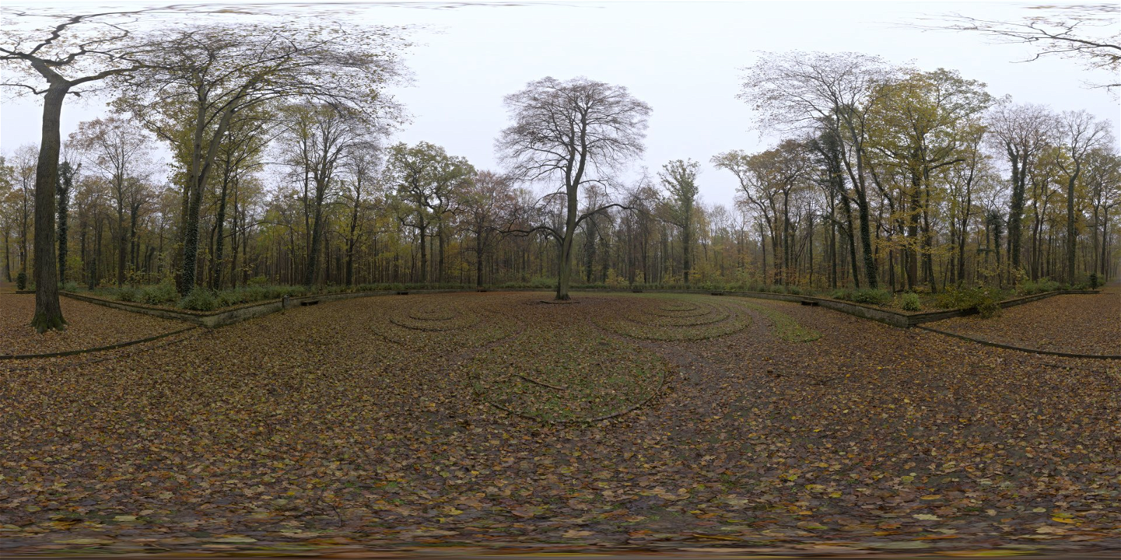 HDRI – Eilenriede Labyrinth – nature - thumbnail 1