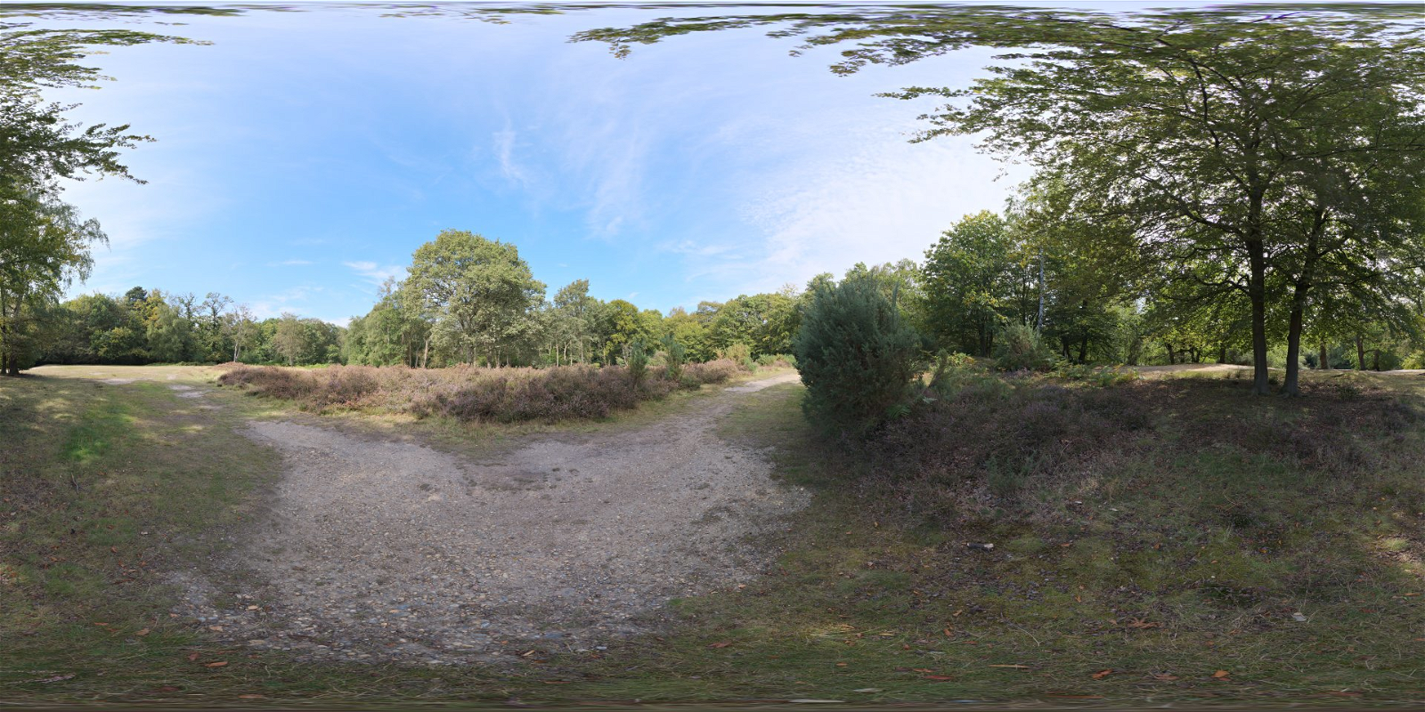 HDRI – Epping Forest 02 – nature - thumbnail 1