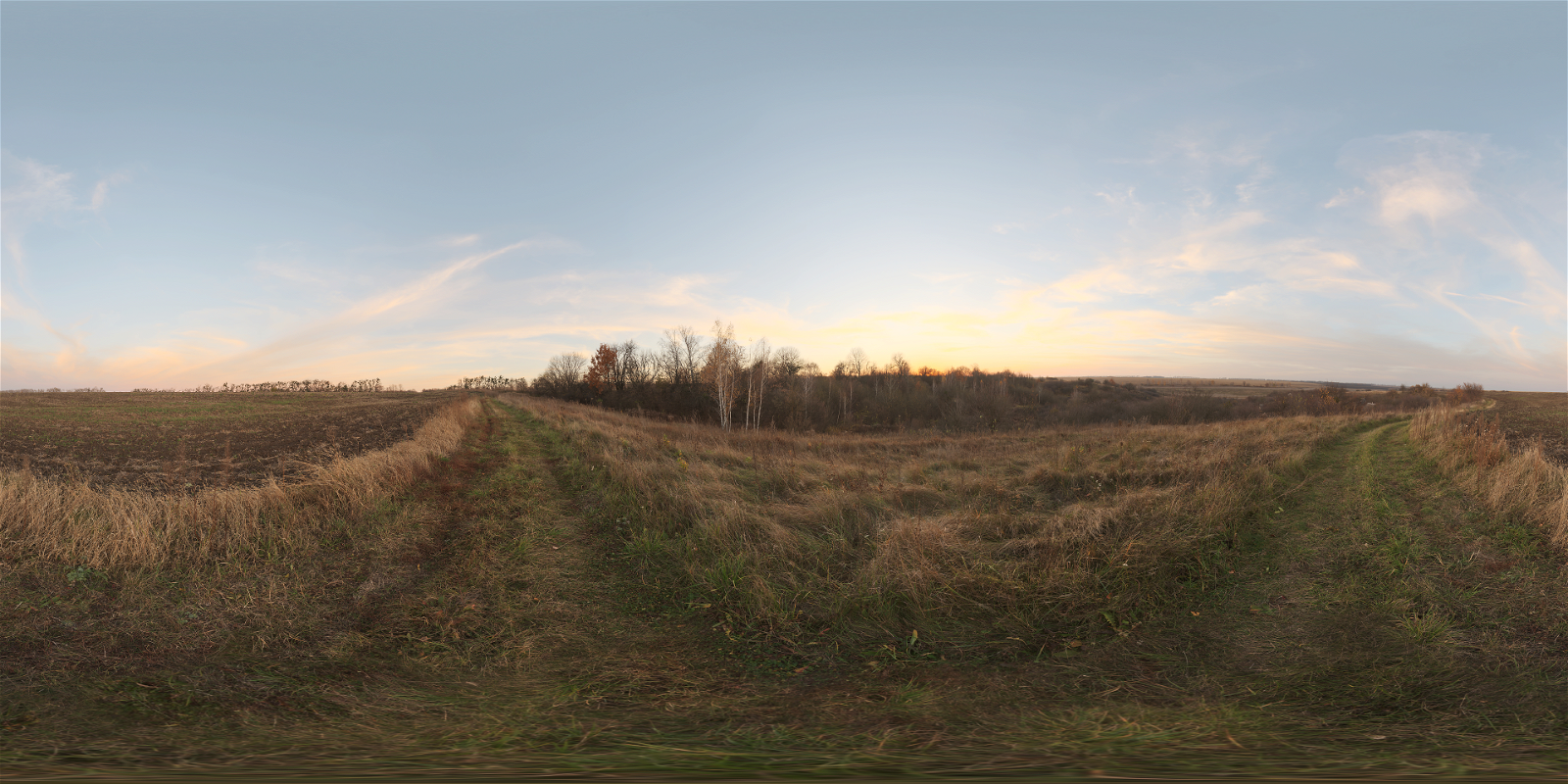 HDRI – Evening Field – natural light - thumbnail 1