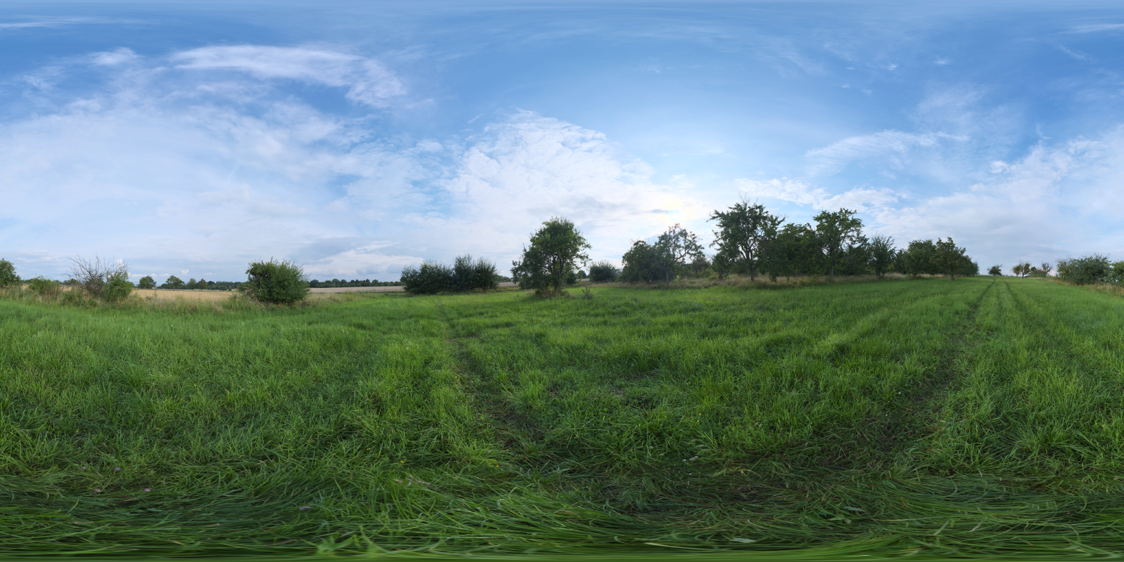 HDRI – Evening Meadow – nature - thumbnail 1