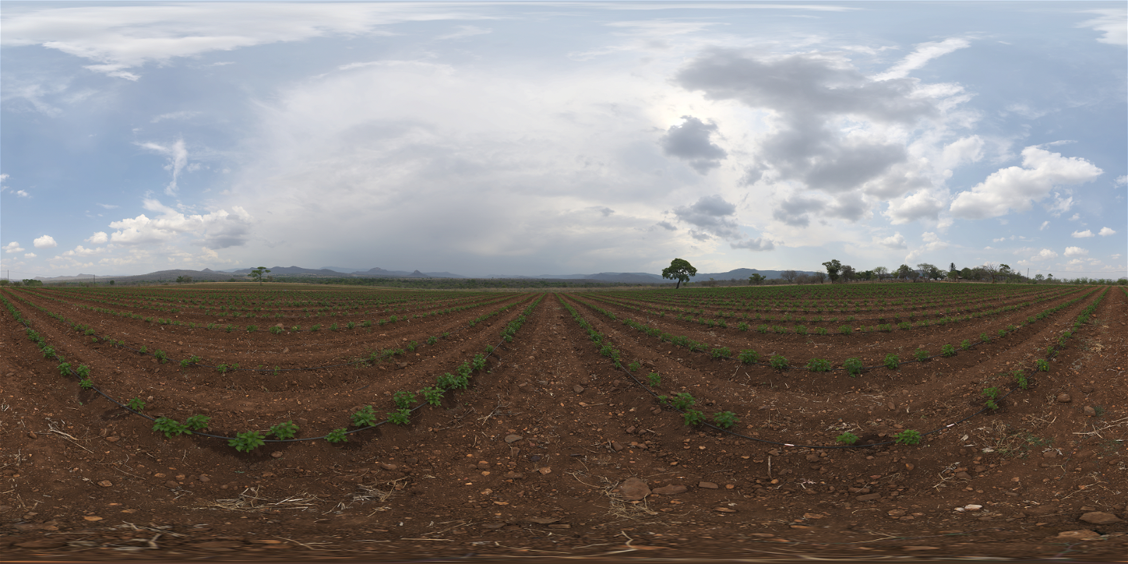 HDRI – Farm Field – outdoor - thumbnail 1