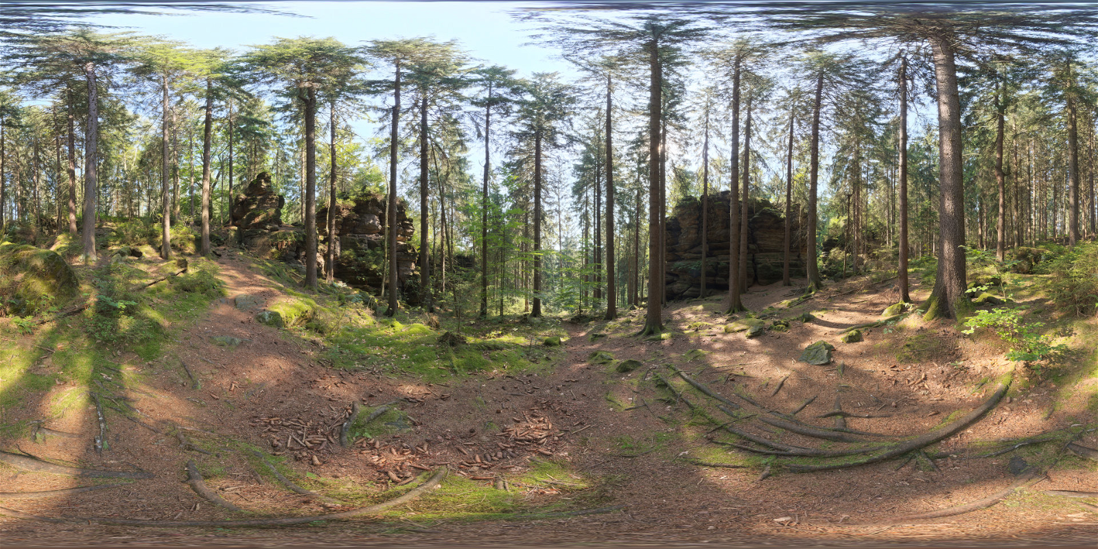 HDRI – Forest Slope – nature - thumbnail 1