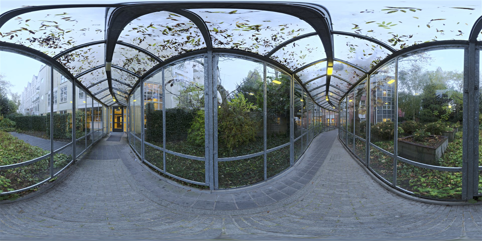 HDRI – Glass Passage – nature - thumbnail 1