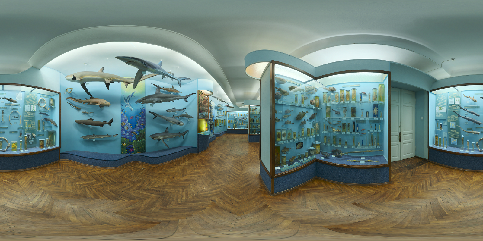 HDRI – Hall of Finfish – urban - thumbnail 1