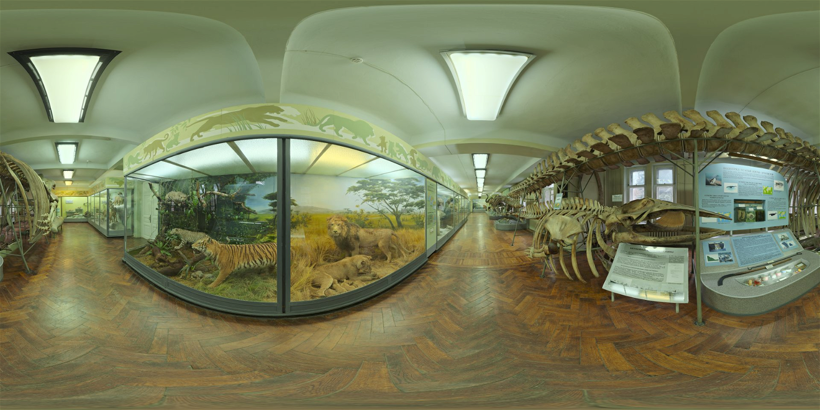 HDRI – Hall of Mammals – urban - thumbnail 1