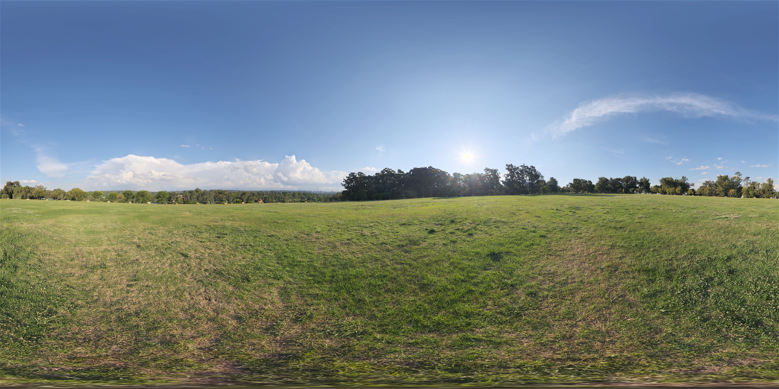 HDRI – J&E Gray Park – nature - thumbnail 1