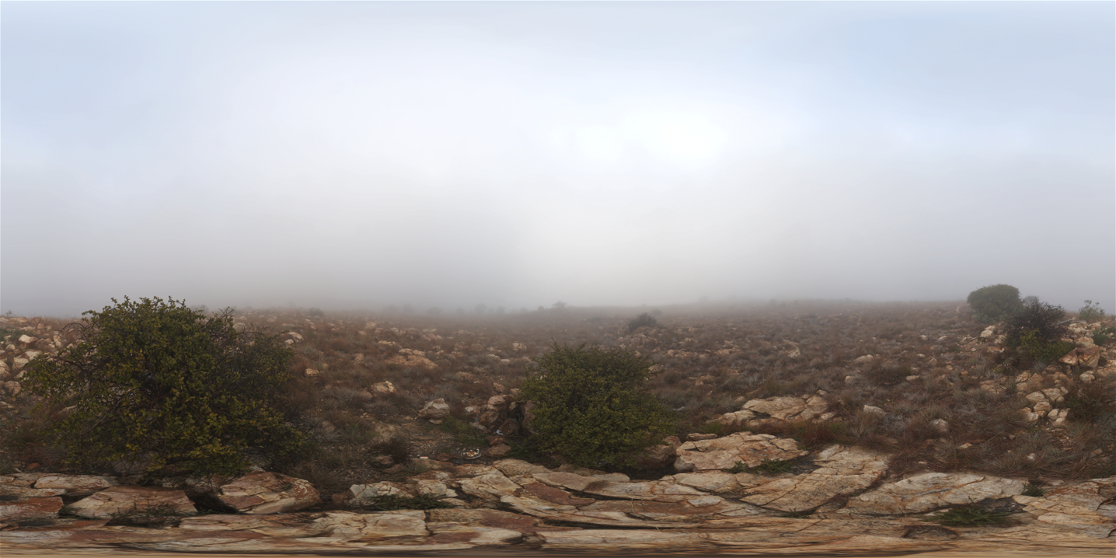 HDRI – Kloofendal Misty Morning – skies - thumbnail 1