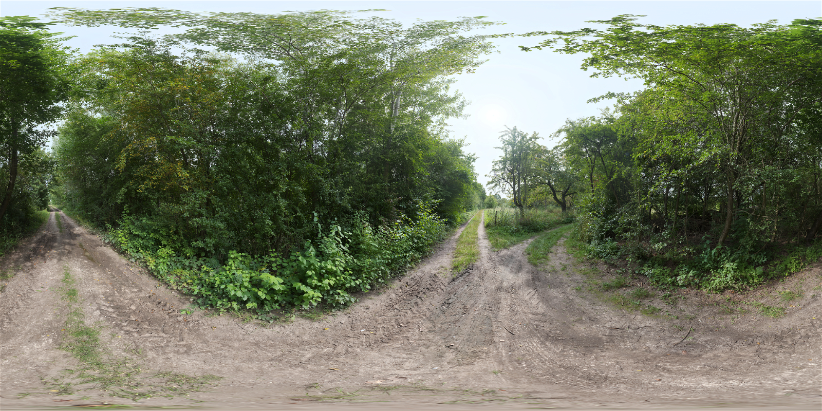 HDRI – Lush Dirt Path – nature - thumbnail 1