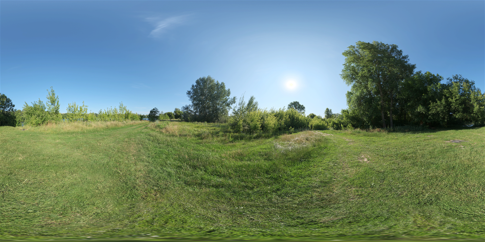 HDRI – Meadow 2 – natural light - thumbnail 1