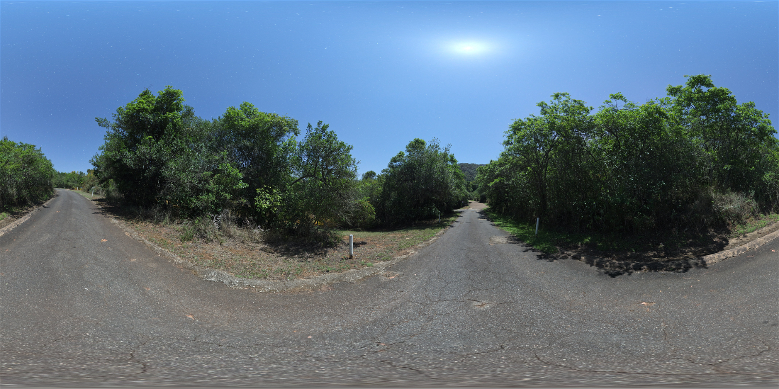 HDRI – Narrow Moonlit Road – natural light - thumbnail 1