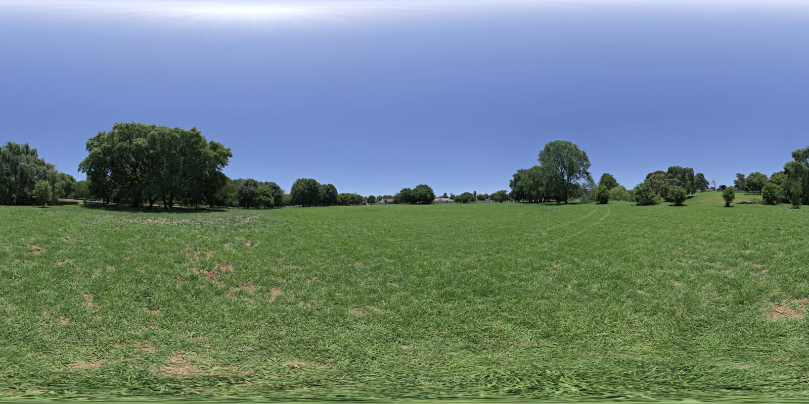 HDRI – Noon Grass – skies - thumbnail 1