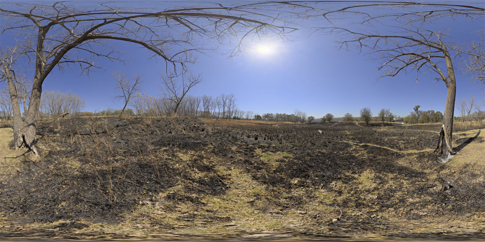 HDRI – Partial Eclipse – nature - thumbnail 1