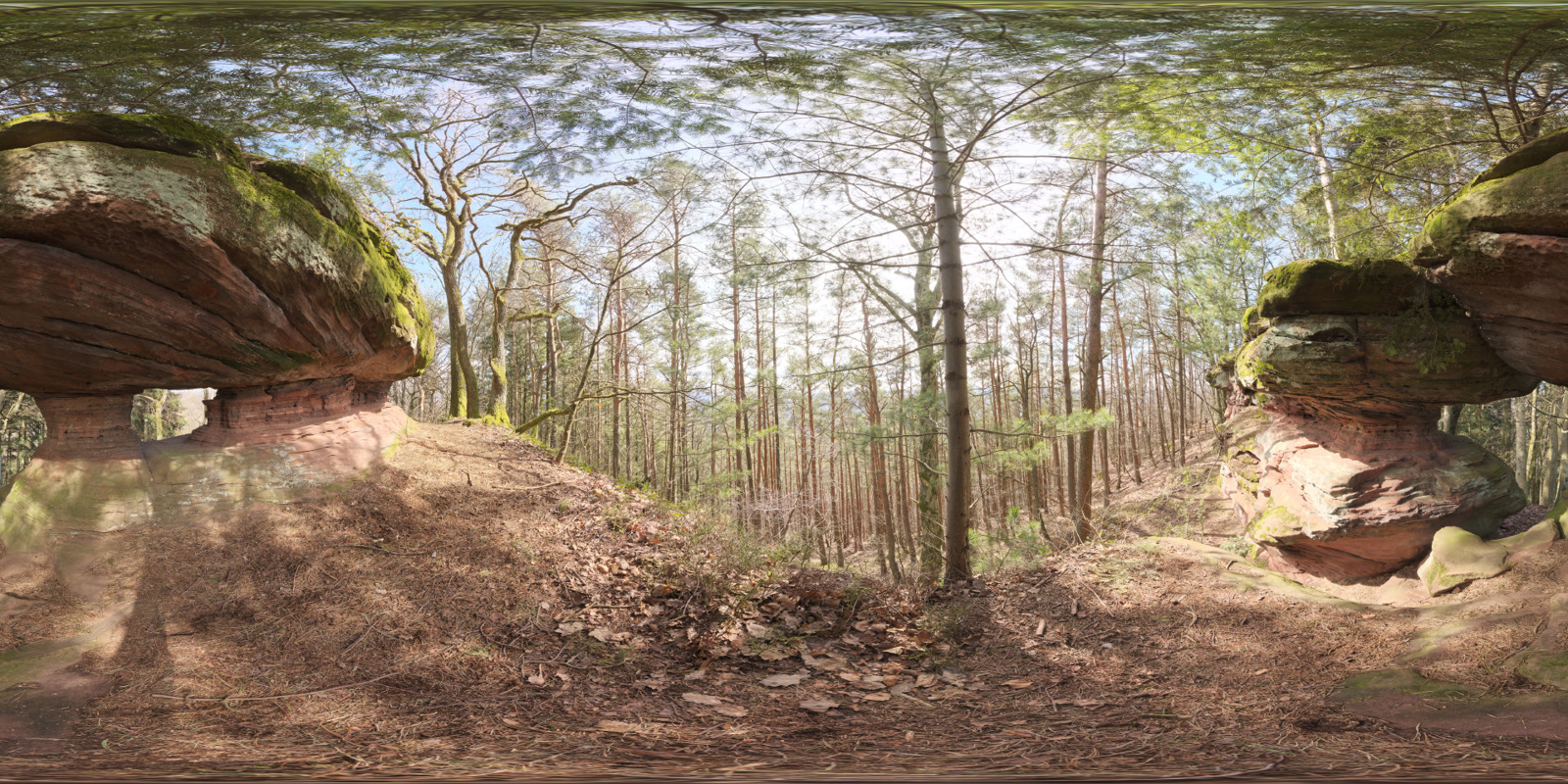 HDRI – Pf�lzer Forest 01 – nature - thumbnail 1