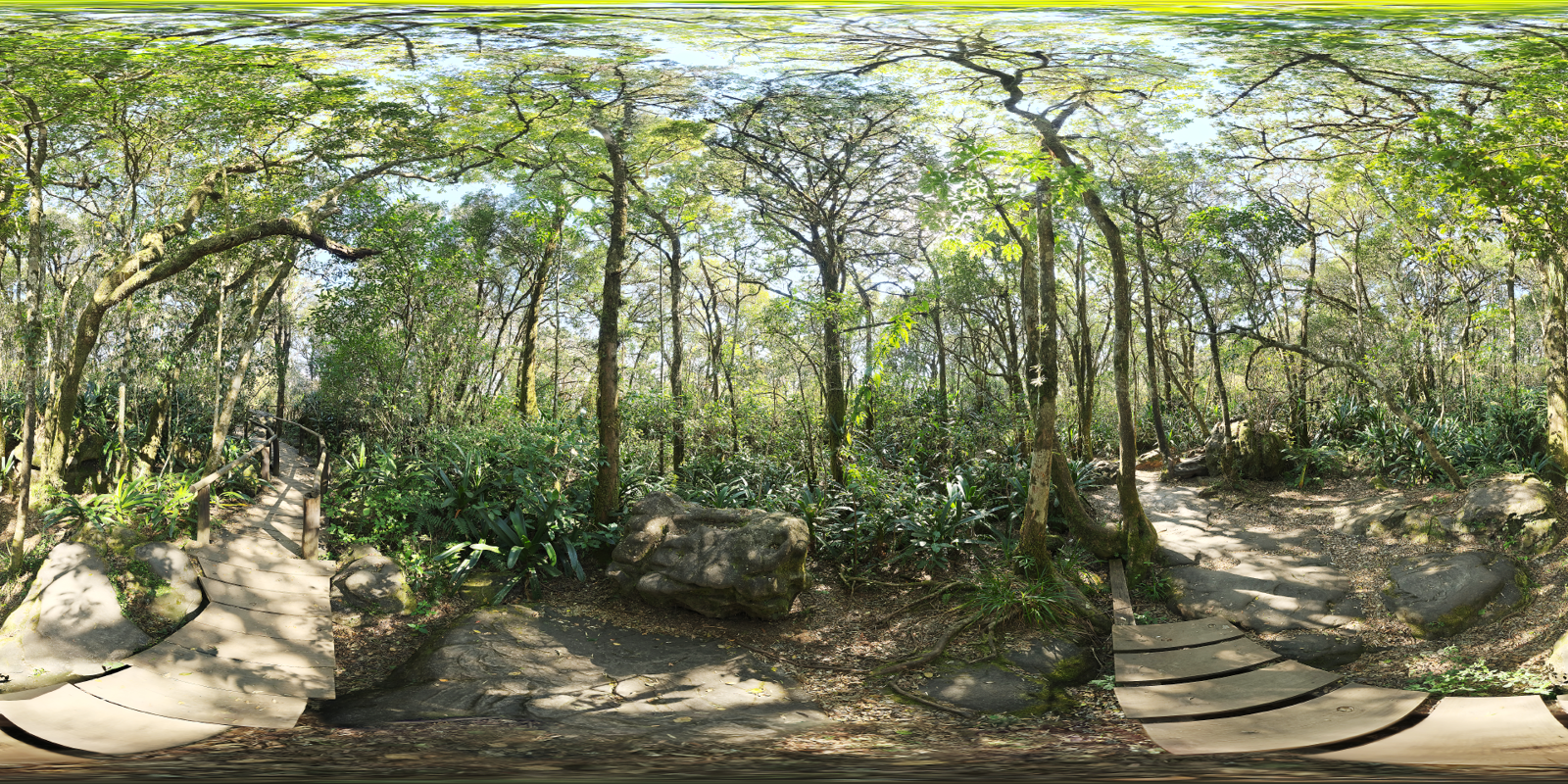 HDRI – Rainforest Trail – outdoor - thumbnail 1