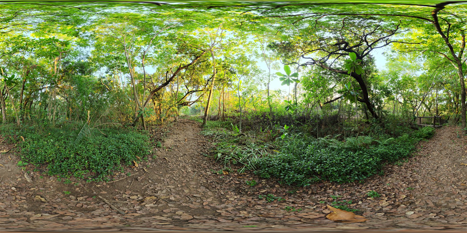 HDRI – River Walk 1 – nature - thumbnail 1