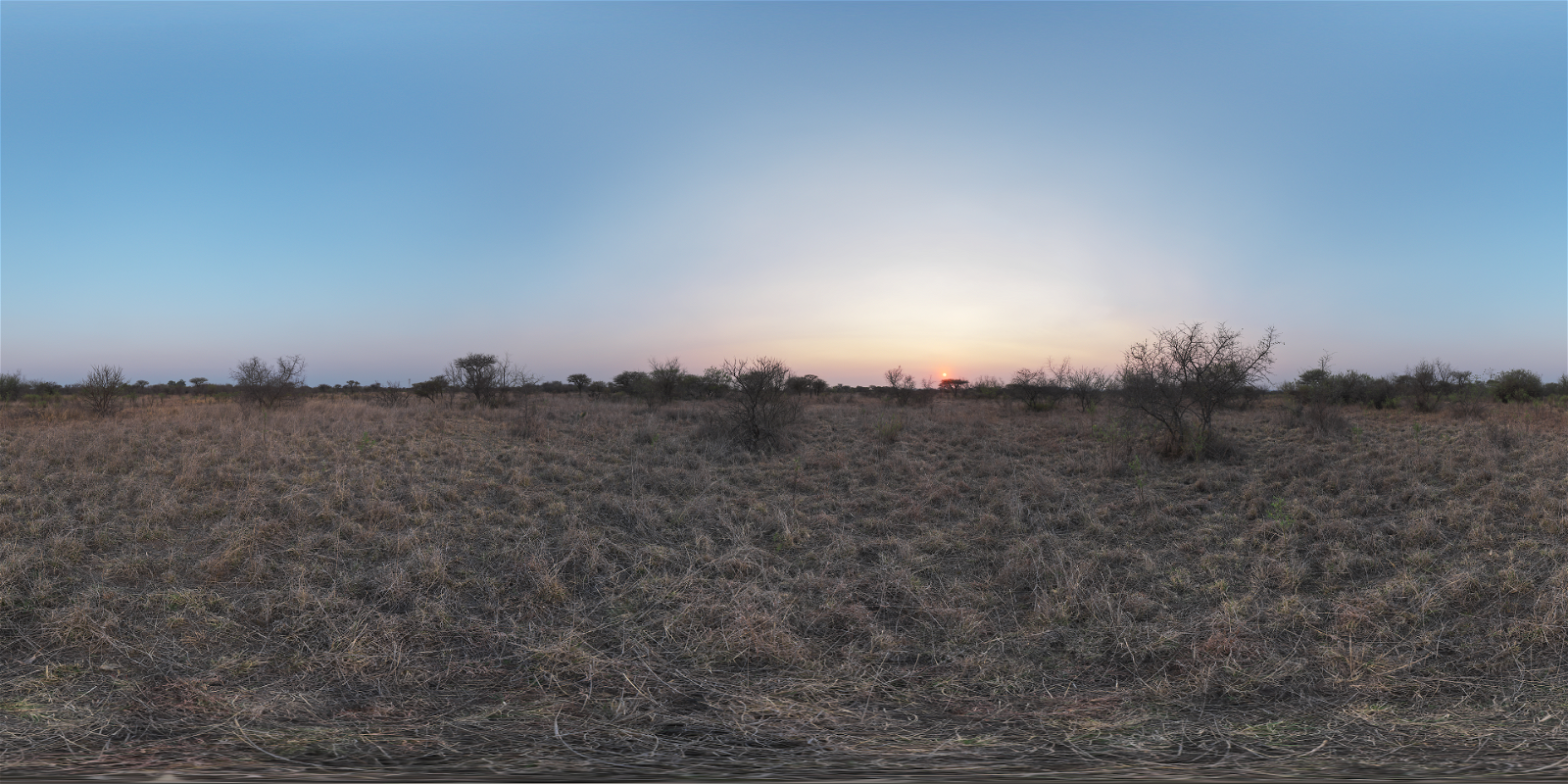 HDRI – Safari Sunset – natural light - thumbnail 1