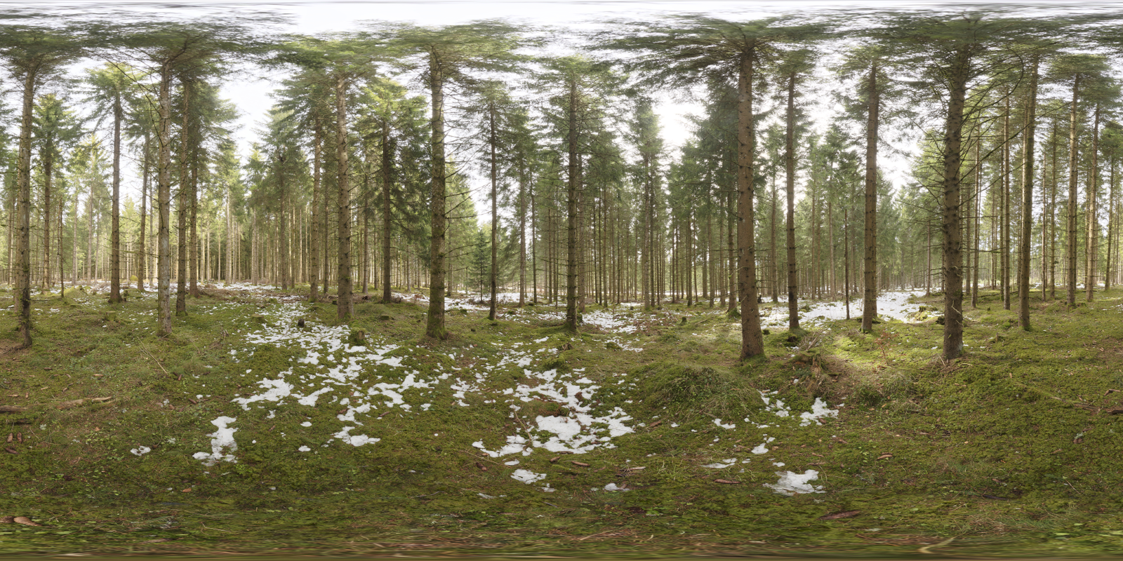 HDRI – Snowy Forest – low contrast - thumbnail 1