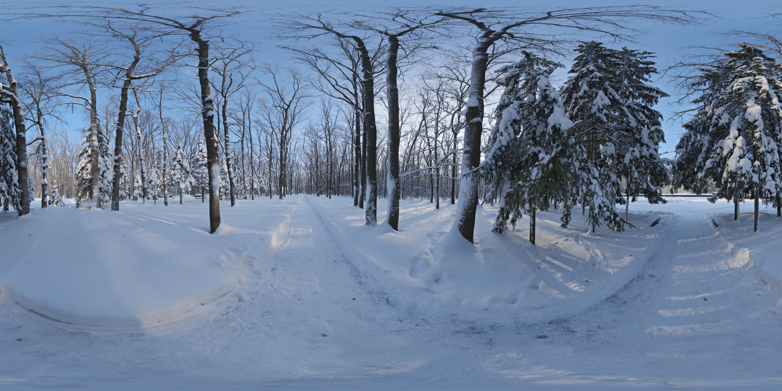 HDRI – Snowy Forest Path 01 – nature - thumbnail 1