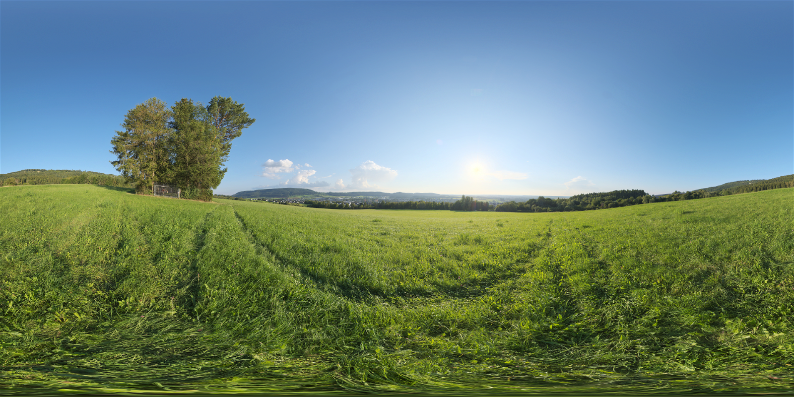 HDRI – Spaichingen Hill – nature - thumbnail 1