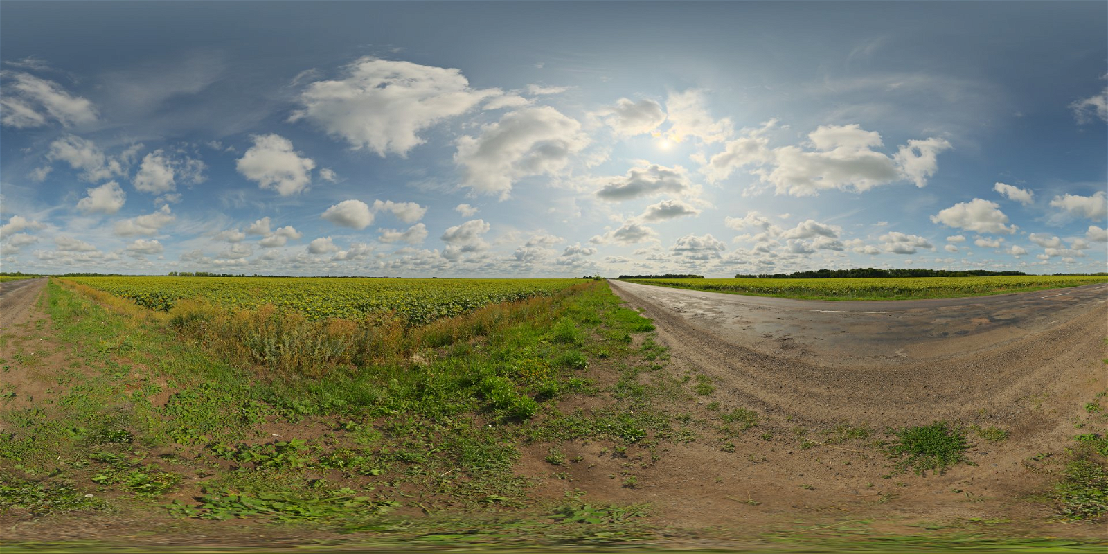 HDRI – Sunflowers – skies - thumbnail 1